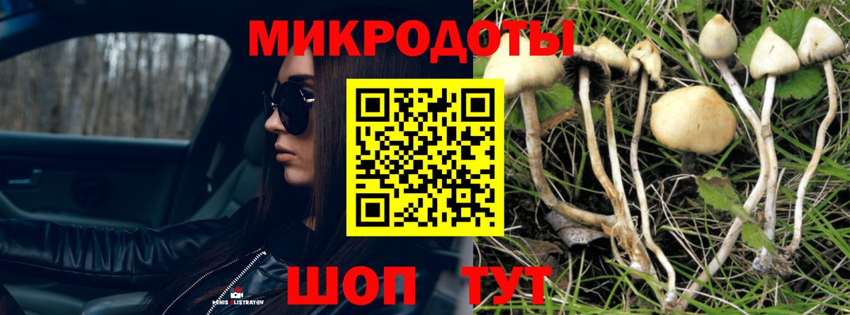 Галлюциногенные грибы Cubensis  Вход с VPN  Архангельск 
